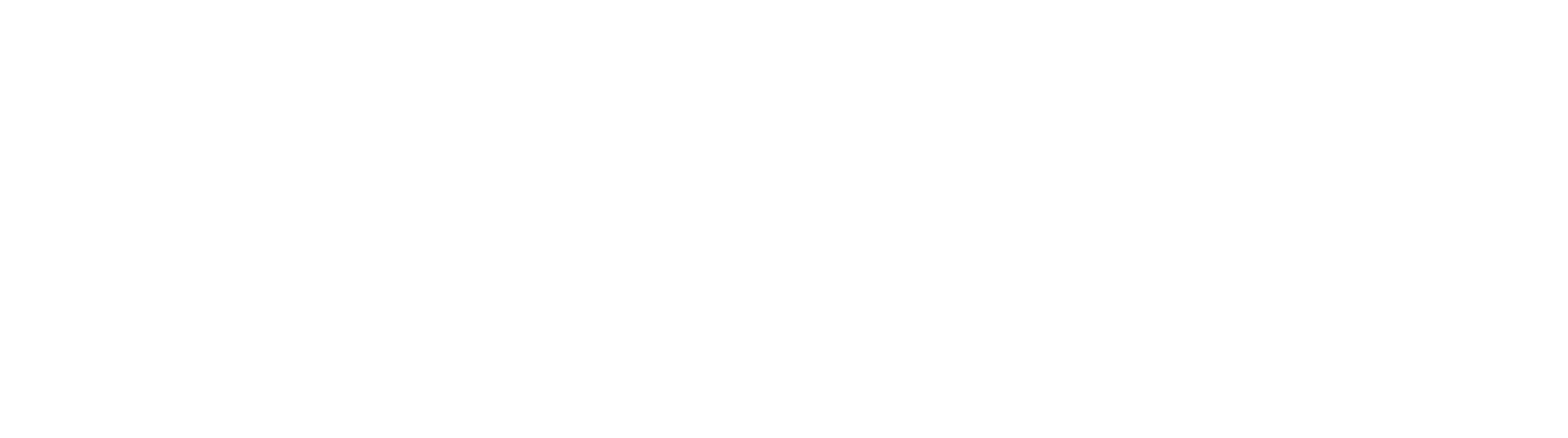 AlcoHall Wine & Spirits Shop - Logo